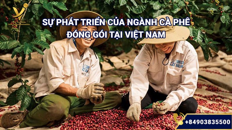 Sự phát triển của ngành cà phê đóng gói tại Việt Nam